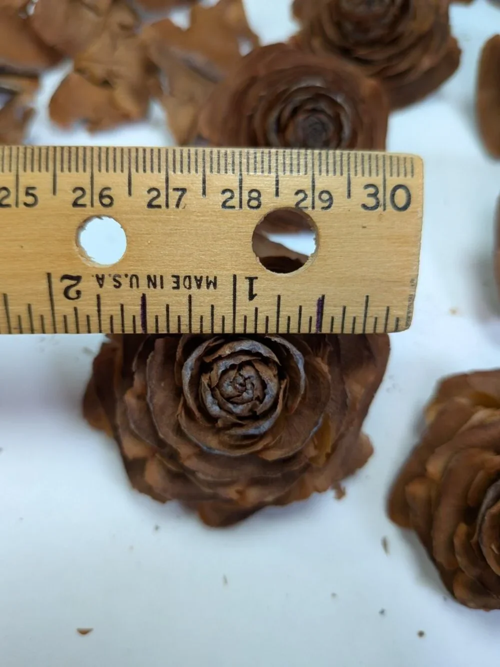 30 Real Cedar Rose Cones Natural Wooden Flowers Crafting & Wreath Supply
